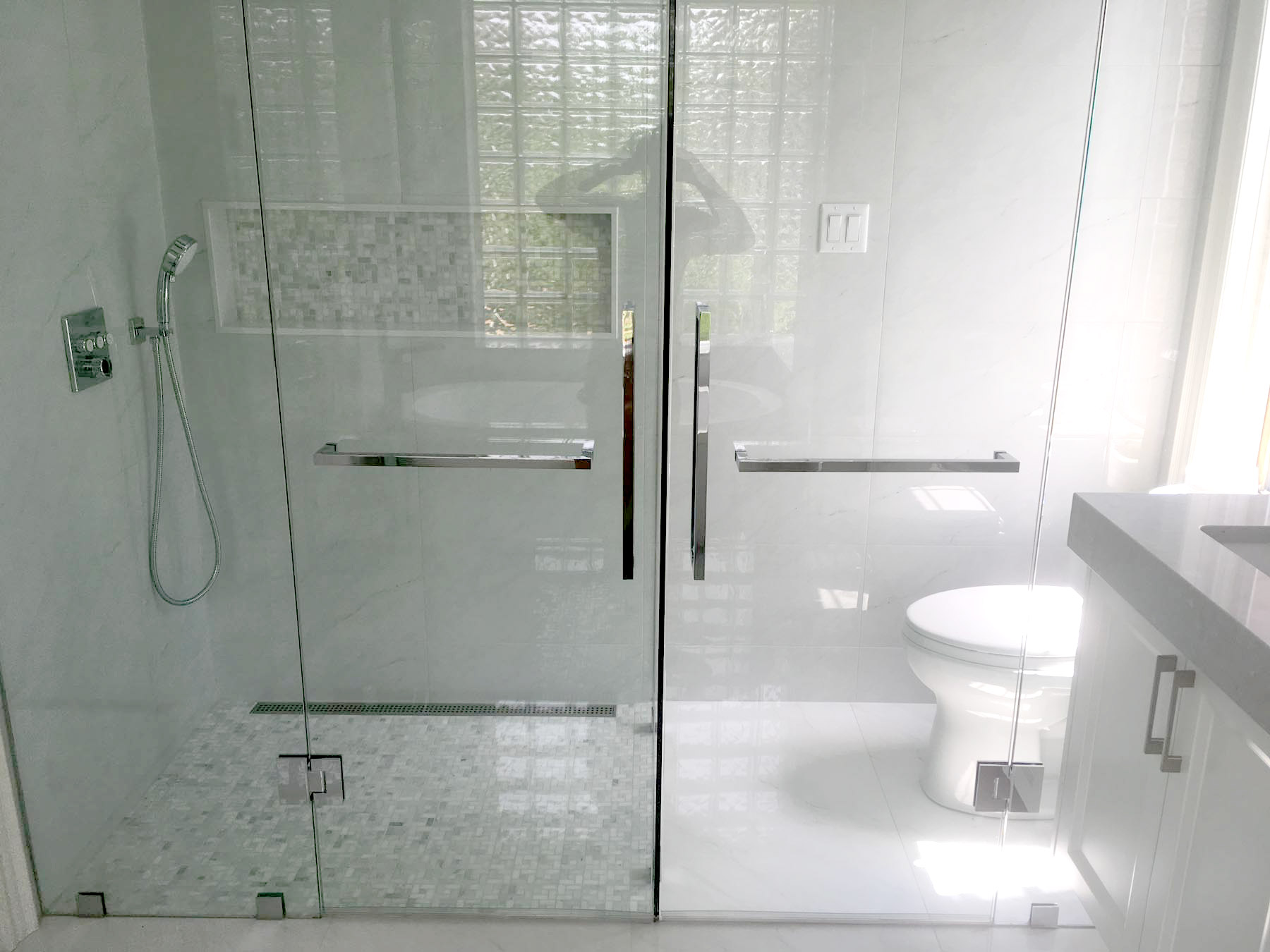 shower and toilet area enclosed by glass